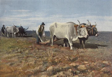 Plowmen in the Roman Countryside